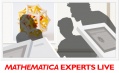 Webinar: Mathematica Experts Live - Numeric modeling in Mathematica